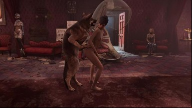 Dog play 3