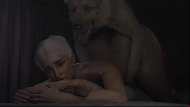 Animal dog breeding night